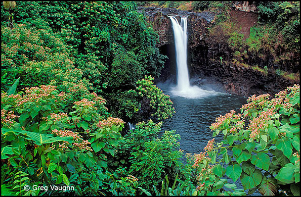 Rainbow Falls Hilo Hawaii