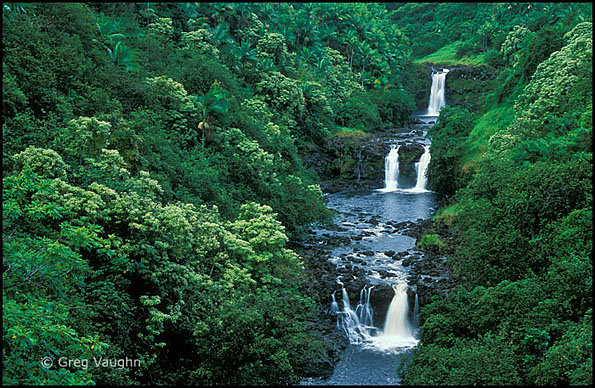 waterfalls on Umauma Stream Hawaii