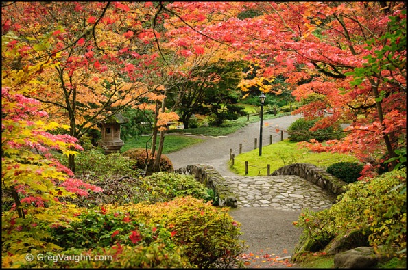 Washington Park Japanese Garden